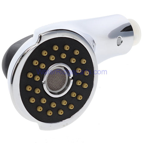 Water Ridge A523793NCP Chrome Spray Head